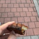 르페이버리 | 대구 빵지순례 버터떡 맛집 침산동 빵집 르페이버리 솔직후기