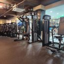 플레타짐 이미지