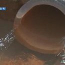 대안저수지 네이버블로그