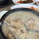 뽕나무상계탕