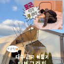 달빛이 머무는집 | 한겨울에도 뜨끈한 대구근교여행지 달빛글램핑