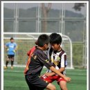 전주조촌초등학교 이미지