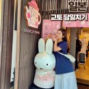 EG투어버스 D코스 | 교토 당일치기 코스 추천 아라시야마 금각사 여우신사 청수사 오사카 근교 버스투어