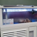 비스트로피자 사상점 이미지