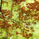 햇살 좋은날 이미지