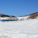 새마음목장 Daum카페