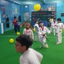 경희대 박사 엘리트 태권도장 이미지