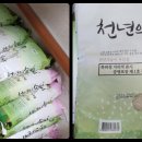 미즈아이산부인과의원 네이버블로그