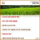 옥현리태양광발전소 이미지