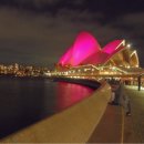 강아지나라 이미지