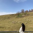 샤론목장 이미지