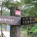 예향천리마실길 9코스 동학농민군진격로 이미지