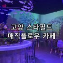 더플로우어린이집 | 고양 스타필드 아쿠아 수족관 카페 매직플로우 3살 아이와 함께 온 솔직 후기