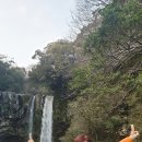 천지연폭포 이미지