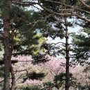 유토피아주유소 | 3월 일상 / 운동하고 먹는게 인생의 전부일 수가 있나...