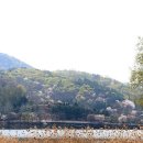 팔당물안개공원 이미지