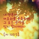 중앙성결교회 이미지