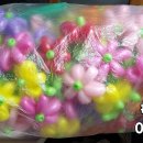 쌘뽈유치원 이미지