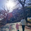 동락공원 화합의숲화장실 | 구미근교 주말나들이 해평 도리사 아이랑 어른들 가볼만한곳 추천 재방문 솔직후기