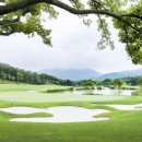 웰링턴컨트리클럽 이미지