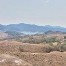 수로부동산공인중개사사무소 Daum카페