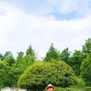 평림댐 화장실 이미지