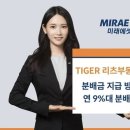 리츠 이미지