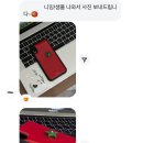만물생 토마토 에폭시 폰케이스 후기