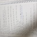 김현진치과 Daum카페