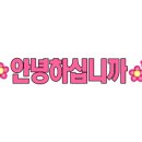 힐링펫샵 네이버블로그