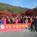 무주 마실 이미지