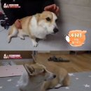 해아리농장 셀럽미디어