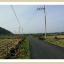 단산1천 이미지