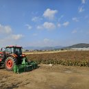 엄마농원 이미지