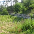 에이스목장 이미지