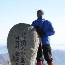 지리산 풀잎