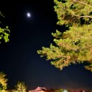 동궁과월지 주차장 화장실 이미지