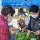 기린초등학교 이미지