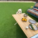 고덕유치원 이미지