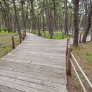 솔향기캠핑장 이미지