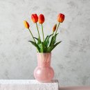 모조하우스 이미지