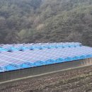 금남 태양광발전소 이미지