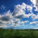 정실농장 이미지