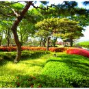 서일식당 이미지