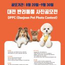반려동물