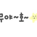 카미 플랙스 이미지