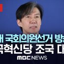 제22대 국회의원 선거 방송연설, 조국혁신당 조국 대표 이미지