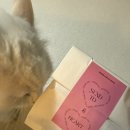 비즈버디 | 귀여운 소품샵스토어 꼬미네선물가게 후기