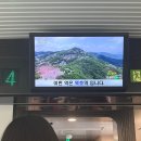 대진파크2 | 여행 “고향의맛손칼국수,뉴월드상가,하평해변,콩키,대진해수욕장,논골담길,비비소,도야하우스,묘한동해”