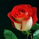 몸사랑건강마을 이미지